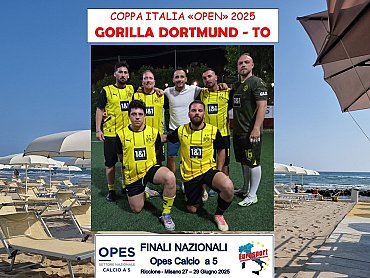 GORILLA DORTMUND - TO